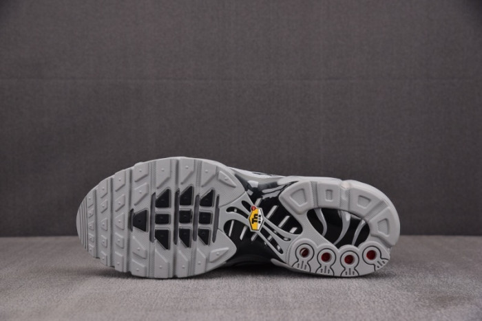 Nike Air Max Plus TN 