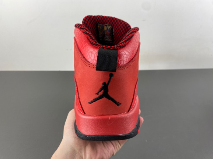 Steve Wiebe x Air Jordan 10 Retro 