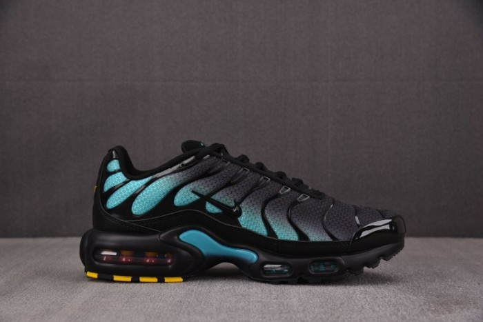 Nike Air Max Plus Black Aurora Green DM0032-016