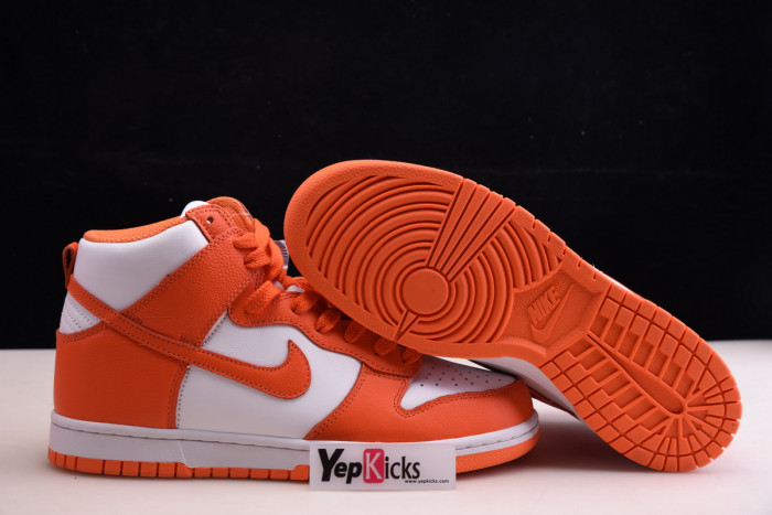 NIKE DUNK HIGH SB 307385-181