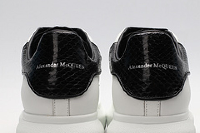 Ale*d*r M*Q*en E2712