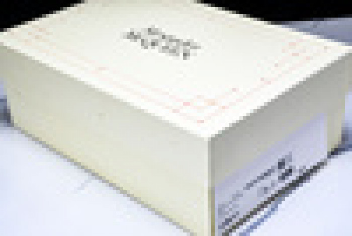 Ale*d*r M*Q*en E2728