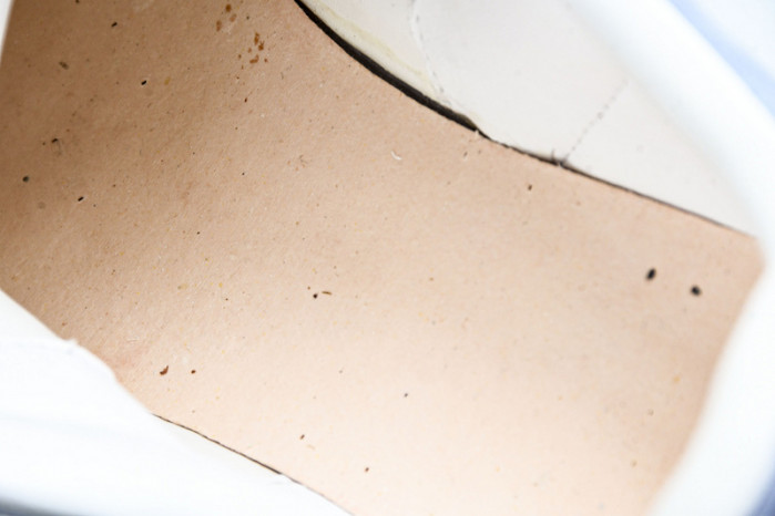 Ale*d*r M*Q*en E2729