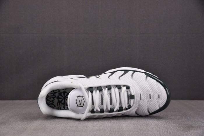 Nike Air Max Plus Premium 