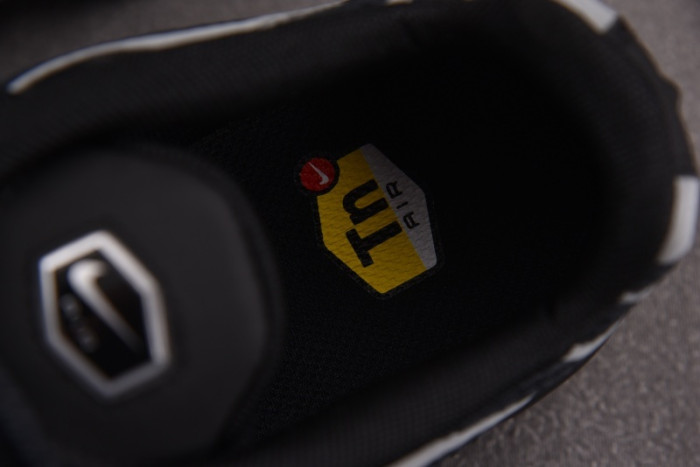 Nike Air Max Plus Black Reflective HQ3029-001