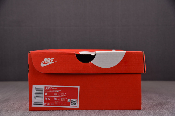 nike p6000 bv1021-105